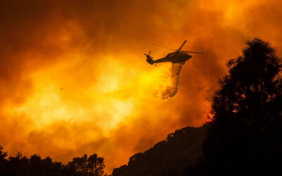 Aerial Fire Fighting Heroes Keep Wildfires At Bay!